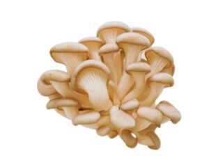 Cogumelo Shimeji Branco 200gr